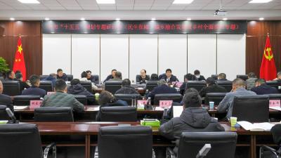 宜城召开“十五五”规划专题研讨会：聚焦民生保障、城乡融合 与乡村振兴 共谋高质量发展新蓝图