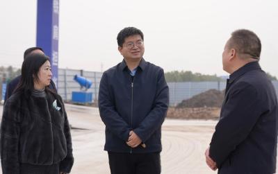 王迪调研重点企业和项目时强调：全力抓项目强产业 筑牢高质量发展根基