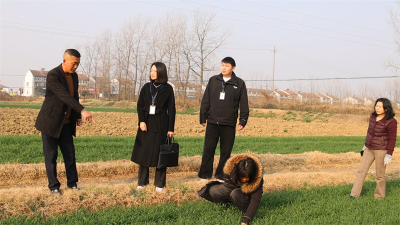 襄阳宜城：下沉监督护航农作物安全越冬