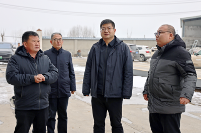 王迪调研乡村振兴、基层治理等工作