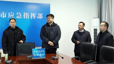 王迪：扎实做好灾害天气防范应对 全力筑牢群众生命财产安全防线