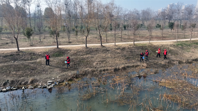 世界湿地日丨宜城为候鸟“加餐”
