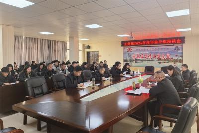 王集镇：激发青春动能 凝聚实干合力