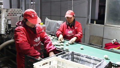 春节消费“热辣滚烫” 楚大鸭业销售再创新高