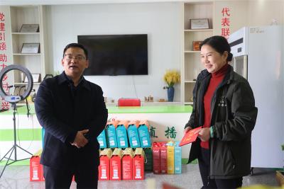 宜城市领导走访慰问专家人才