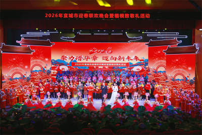宜城市迎春联欢晚会暨楷模致敬礼活动成功举办