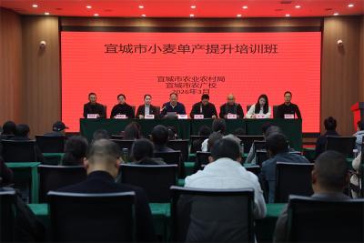 宜城市小麦单产提升培训班开班