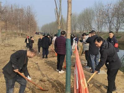 宜城市交通运输局开展义务植树活动 为湿地公园添新绿