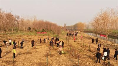 义务植树添新绿 共建生态美家园
