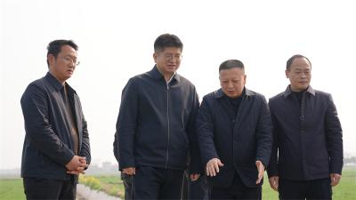 王迪到小河镇调研督导高标准农田建设、春耕备耕等工作