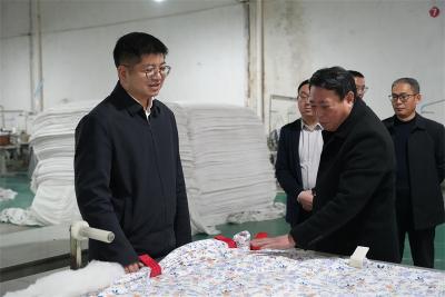 王迪在调研稳增长工作时强调：聚焦重点精准发力 全力以赴稳增长