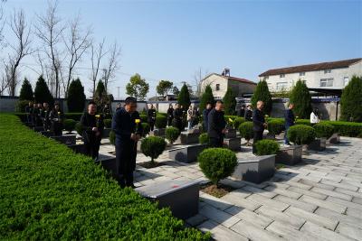 宜城市退役军人事务局开展“追寻 2026 清明祭英烈”主题活动