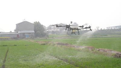 谁说种地靠天吃饭？宜城田间藏着“智慧大脑” 