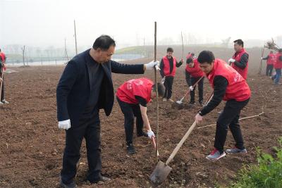 绿满宜城 共“树”未来——宜城各地开展义务植树活动