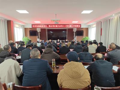 宜城市部署政府项目、国企项目拖欠农民工工资问题治理工作