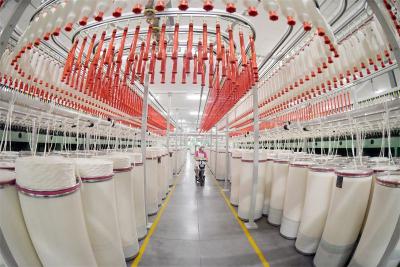 天舒纺织：开足马力赶订单 瞄准高端谋新篇