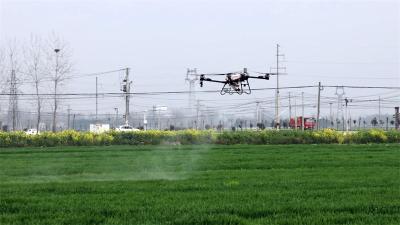 宜城：夯实春季田管 确保小麦丰收