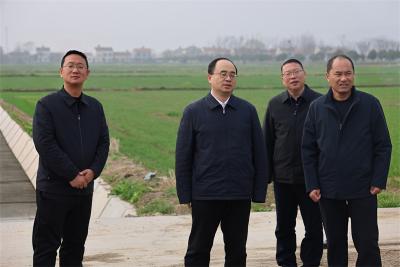 武义泉调研高标准农田建设和春耕备耕工作