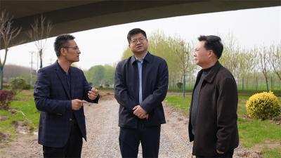 王迪调研督导“五化”管理项目时强调：要清单化破难题 全力推动项目建设提速增效