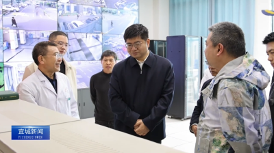 【云视听】王迪调研安全生产和“群腐”集中整治工作