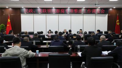 武义泉：以钉钉子精神抓好群众身边不正之风和腐败问题集中整治 切实兜牢兜实民生底线