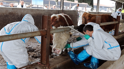 宜城市2026年春季动物防疫工作全面启动