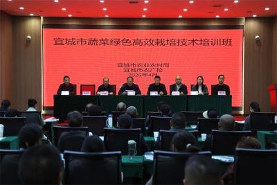 宜城市蔬菜绿色高效栽培技术培训班开班