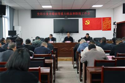 宜城部署小麦病虫害防控 力保夏粮丰产丰收