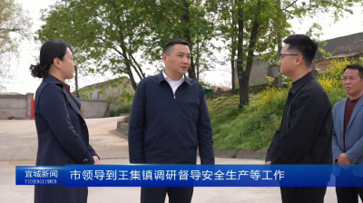 【云视听】市领导到王集镇调研督导安全生产等工作