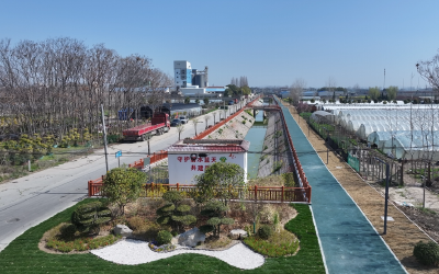 宜城四沟“摘帽”记：黑臭水体变身生态景观带