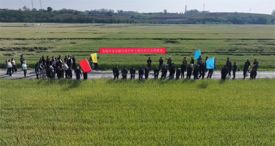 宜城：地里加“养分” 河滩变“良田”
