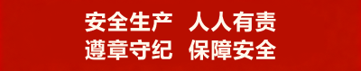小河镇新华村小学开展防震减灾应急疏散演练活动