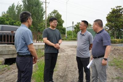 王迪调研蛮河宜城段水质时强调：精准治污 守护碧水清流