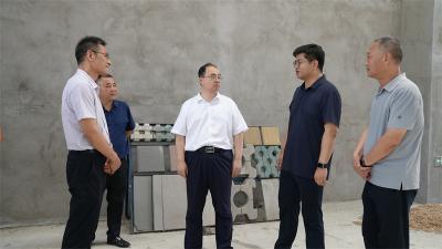 武义泉王迪专题调研非法倾倒处置固体废物等突出生态环境问题整改工作