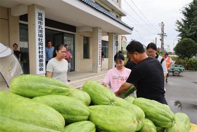 孔湾镇：爱心企业送菜瓜 情暖乡村“美容师”