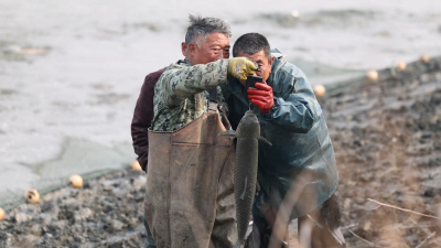 湖北老河口：冬捕开网 喜迎新年