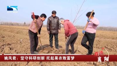 50年磨一剑！姚凤君让“汉水”砂梨畅销国内外