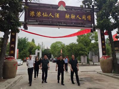 市领导调研我市白酒生产企业
