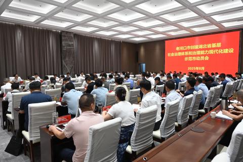 我市召开创建湖北省基层社会治理体系和治理能力现代化建设示范市动员会 