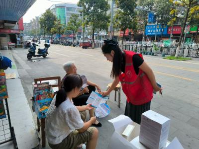 牌坊街社区开展“扫黄打非 护苗行动”主题宣传活动