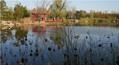 湖北老河口：在城市绿心，邂逅动静皆宜的初冬