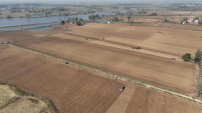 湖北老河口：种粮大户带头示范 确保小麦种满种足