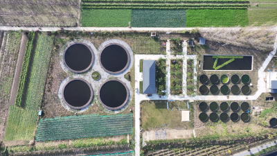 新农人舒伟：一条鱼串起农文旅