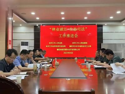 市人民检察院：高质效履职守护公益 数字化赋能助力治理