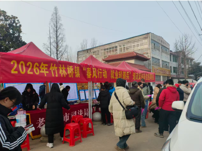 竹林桥镇开展就业招聘和法治宣传活动 