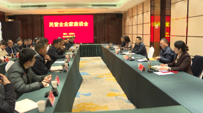 我市召开民营企业家座谈会