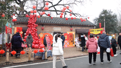 樊庄年货节：年味浓 人气旺 销售忙