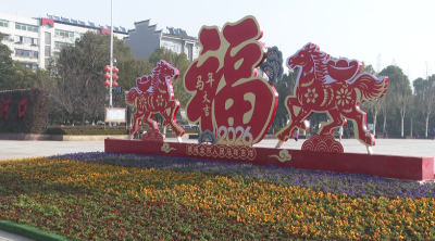 老河口市新春景观焕新亮相 三色堇组景与华彩灯光共迎马年
