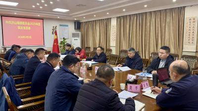 市领导参加指导洪山嘴镇党委2025年度民主生活会