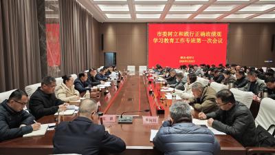 【树立和践行正确政绩观】市委树立和践行正确政绩观学习教育工作专班第一次会议召开